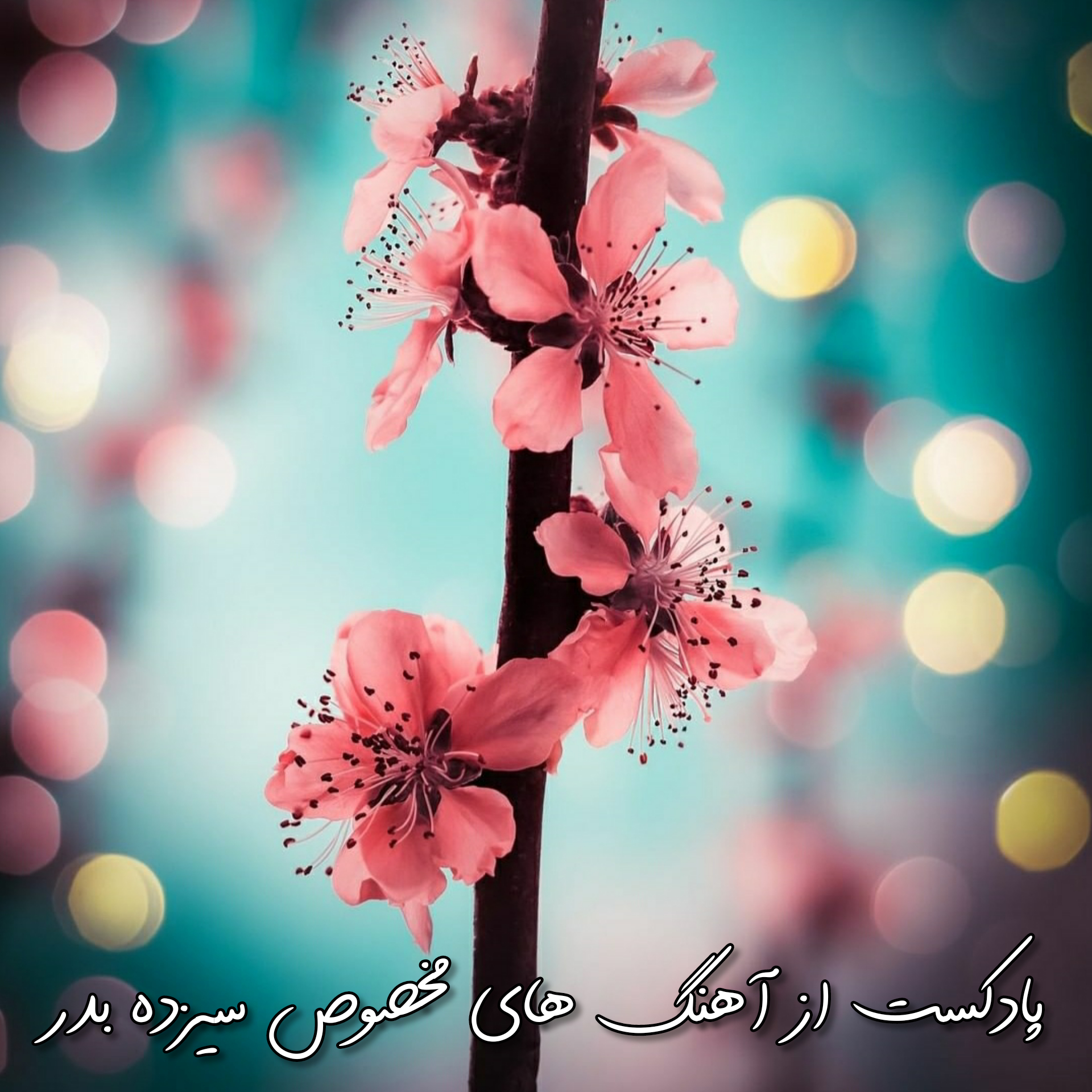 دیجی رهام پادکست جدید مخصوص سیزده بدر 1401